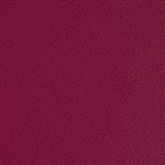Esprit Raspberry