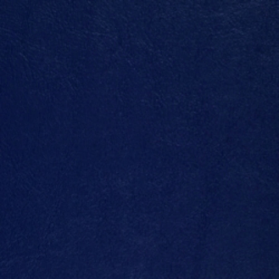 Seaquest Midnight