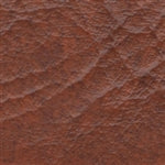 Rogue II Indian Red