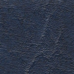 Rogue II Blue