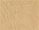 Rogue II Fawn