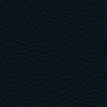 Classic Navy