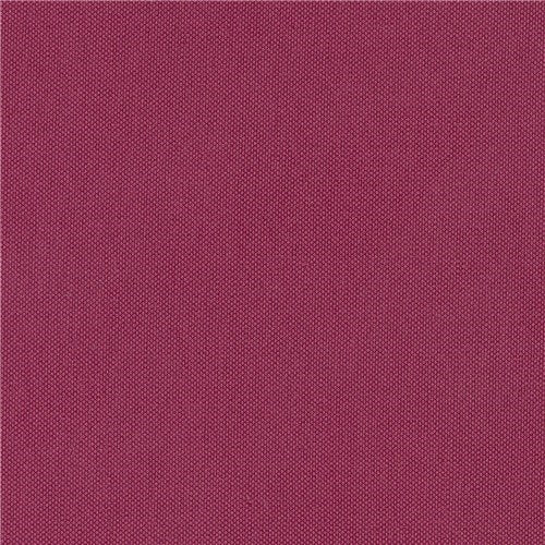 Silvertex Raspberry