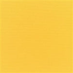 Canvas Sunflower
