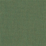 Sunbrella 46" Fern
