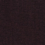 Champlain Currant