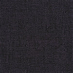 Champlain Dewberry