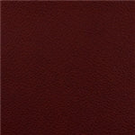 Timeless Resolve Red