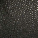 Phoenix Caviar