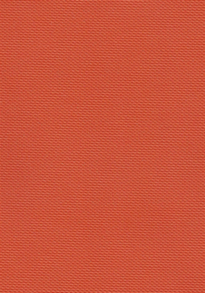Trexx MQ Marigold