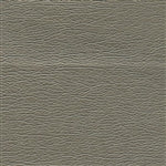 Pearlized Pewter