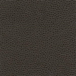 Promessa Brown Earth