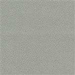 Promessa Ash