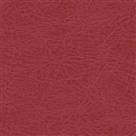 Brisa Fresco Gogi Berry