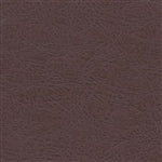 Brisa Fresco Elderberry