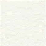 Brisa Fresco Coconut