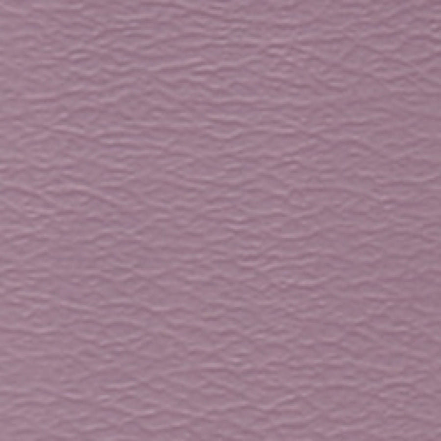 Spirit Millennium Lilac