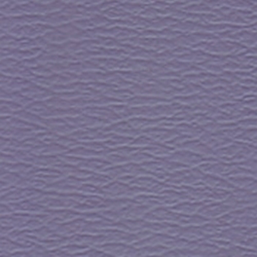 Spirit Millennium Dutch Blue