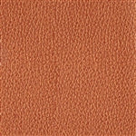 Clarke Coral