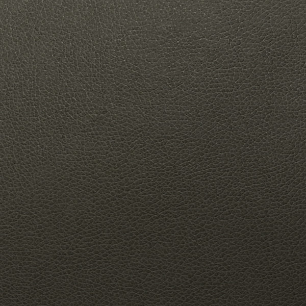 Tolstoy Asphalt