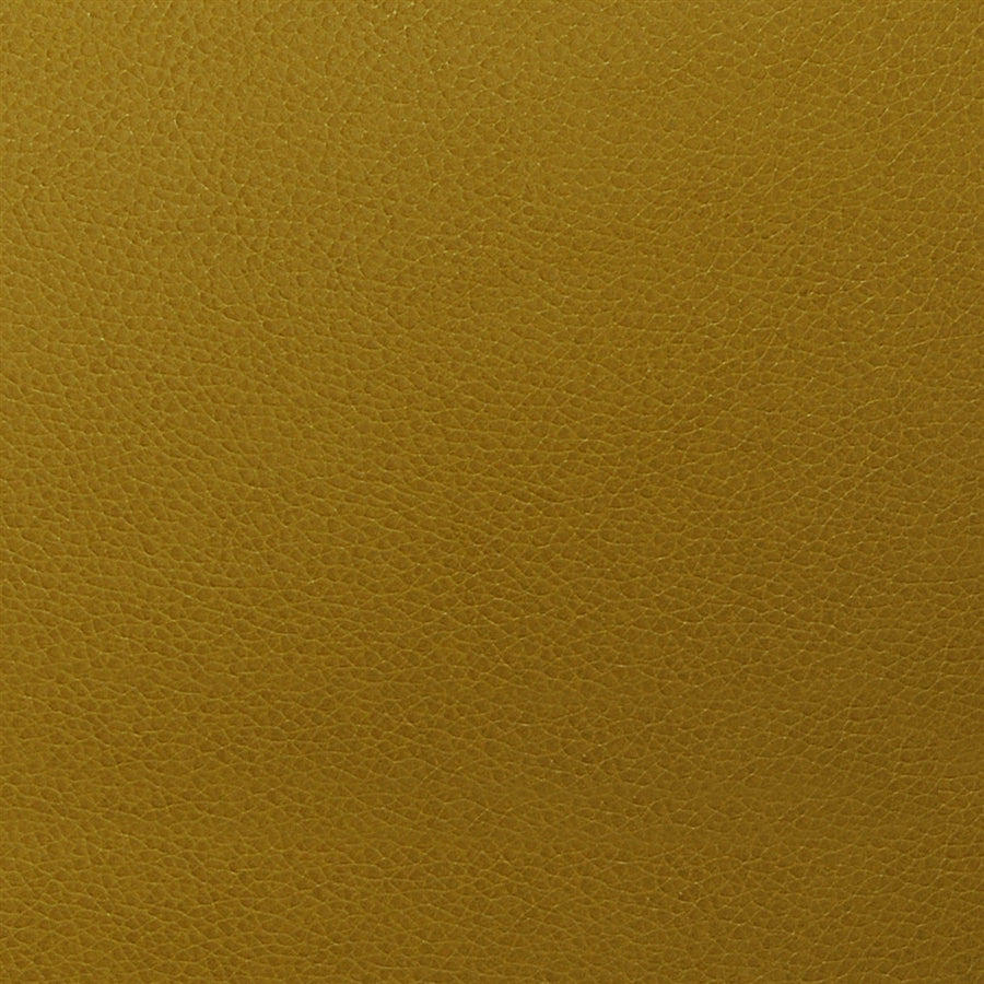 Tolstoy Yellow