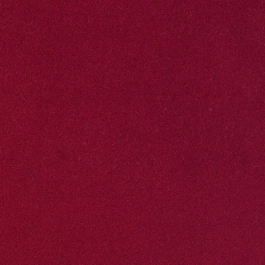 Wentworth Poinsettia