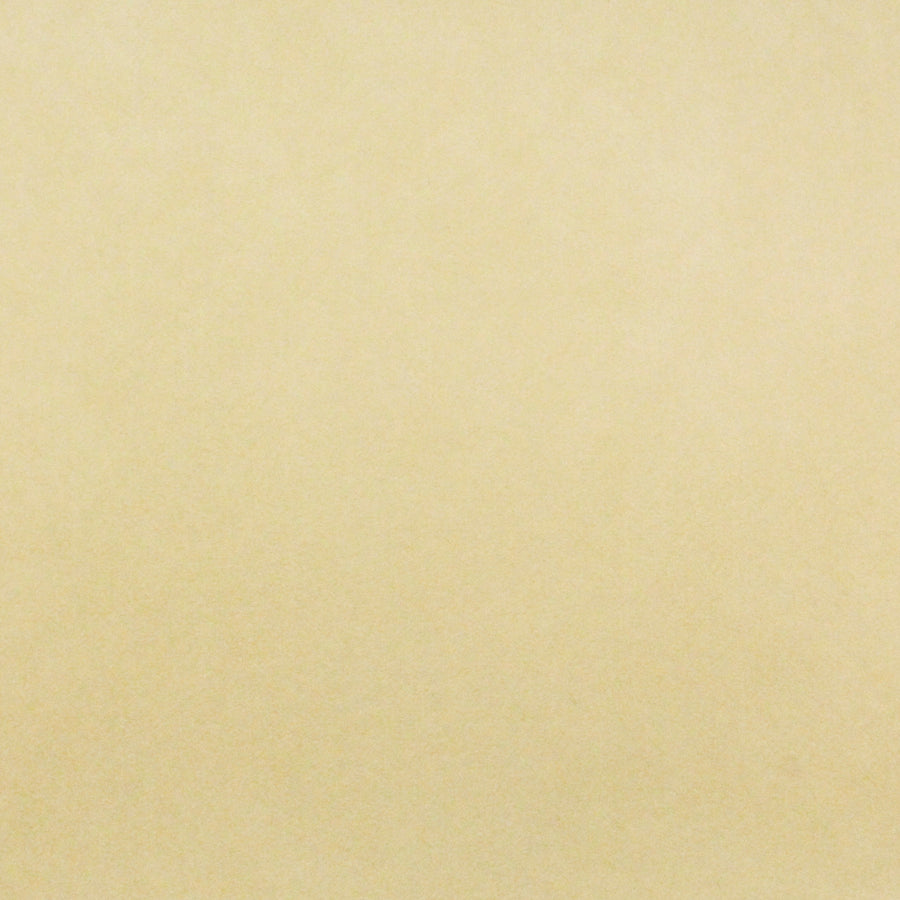 Alcantara Cover Bright Nature