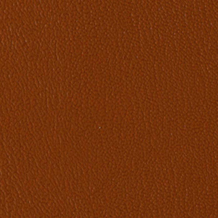 Colorguard Allspice