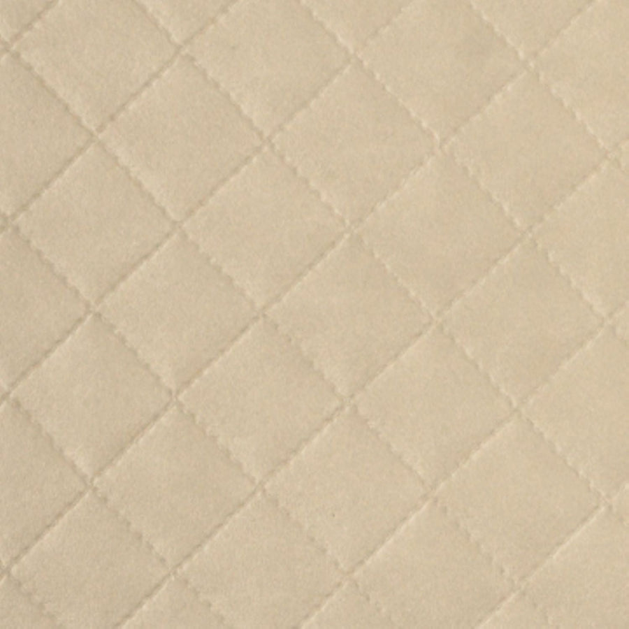 Avenue Vellum