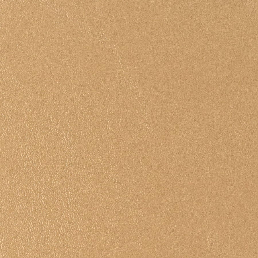 Windward Sand Dune