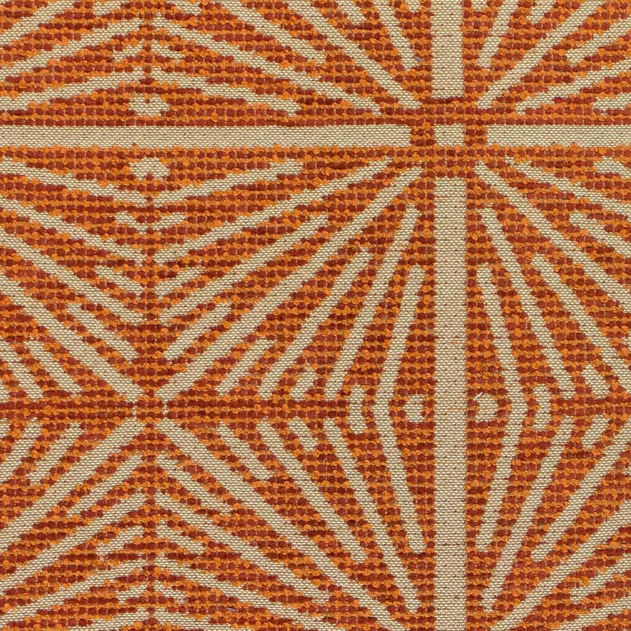 Burst Orange Zest