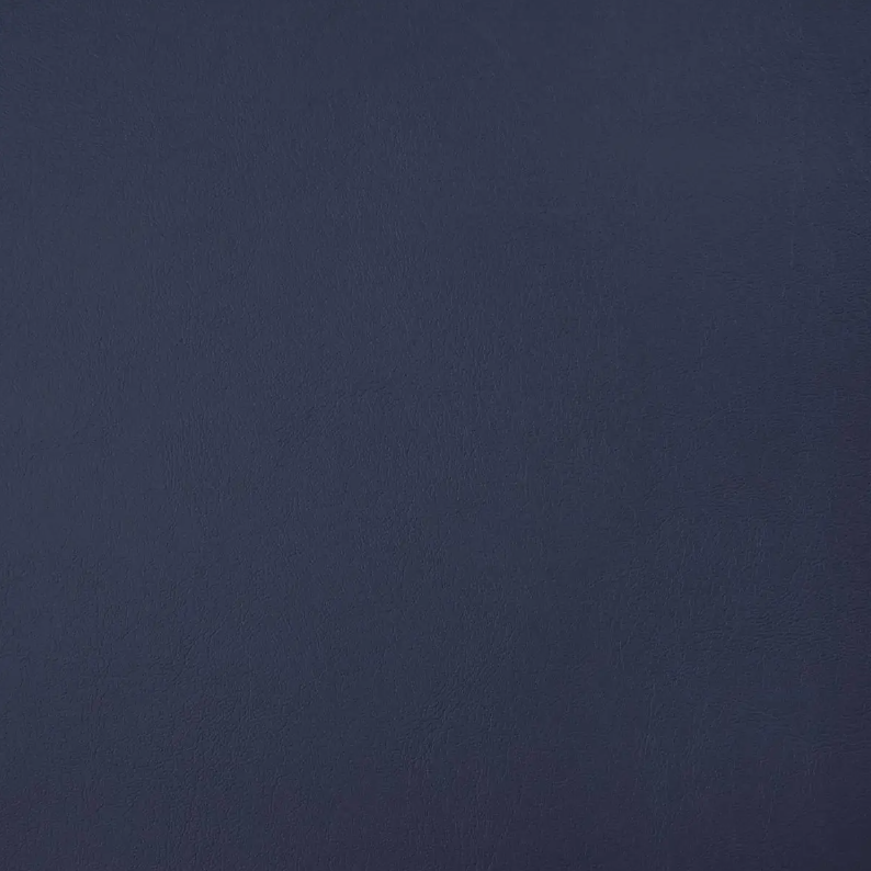 Capriccio Navy