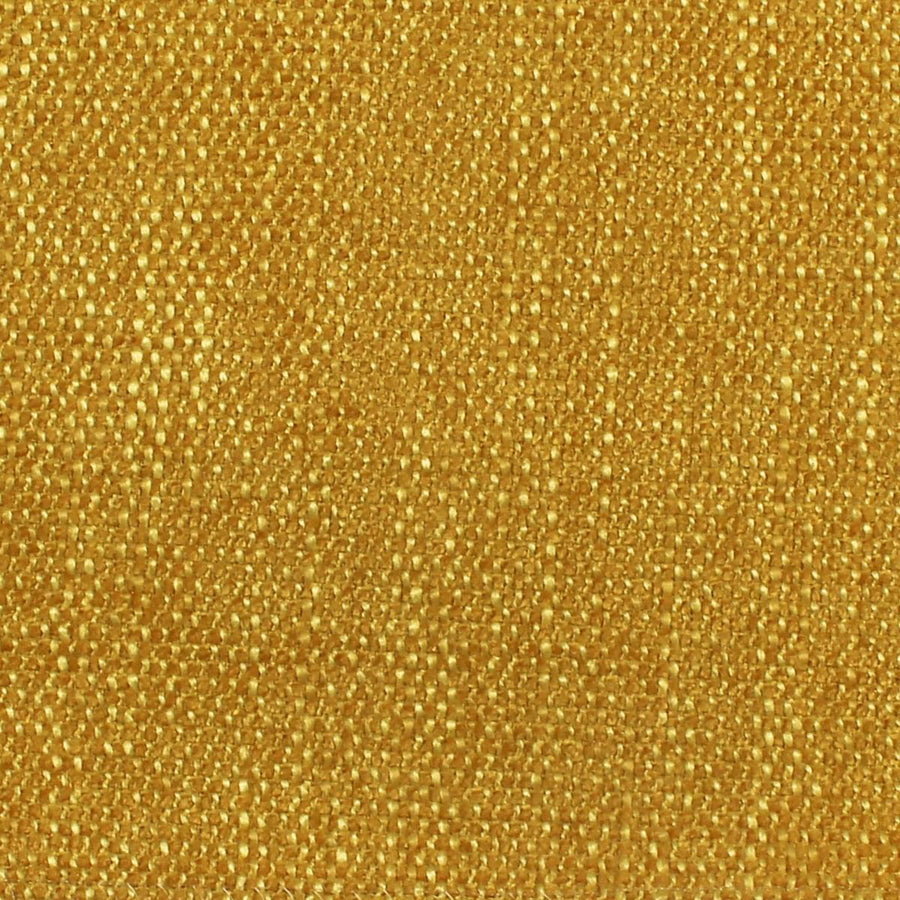 Clayton Goldenrod