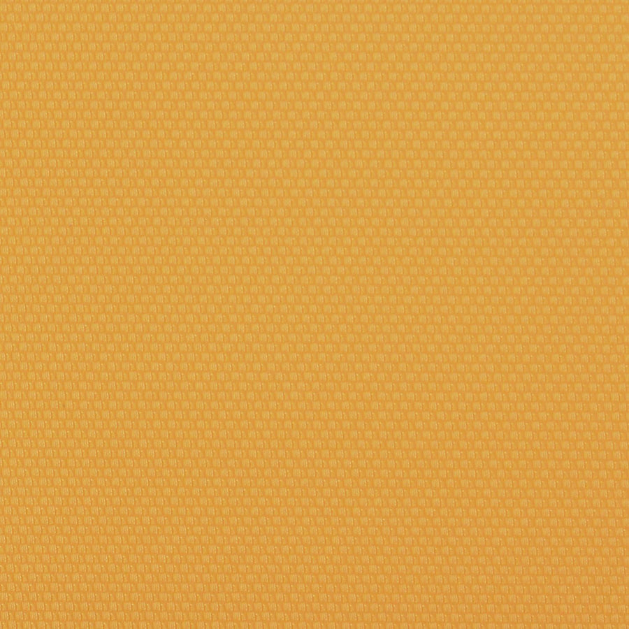Connection Citrus