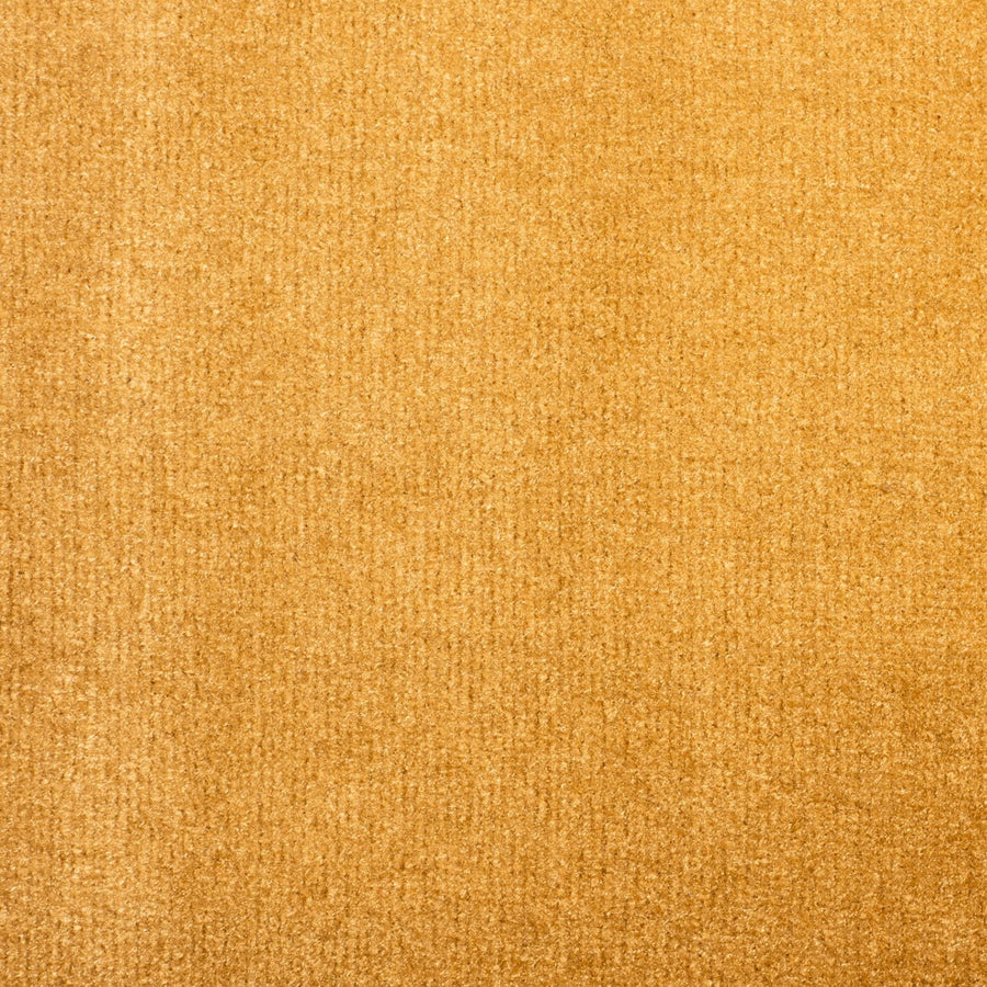 Prestige Camel