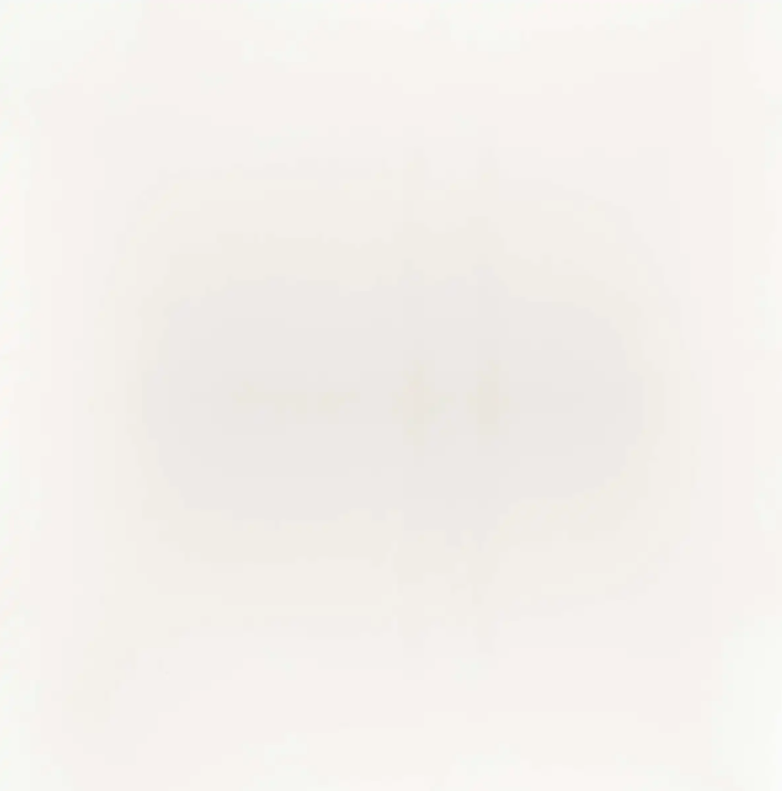 Sunbrella Horizon Capriccio Dover White