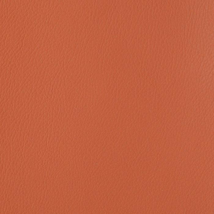 Foundation Autumn