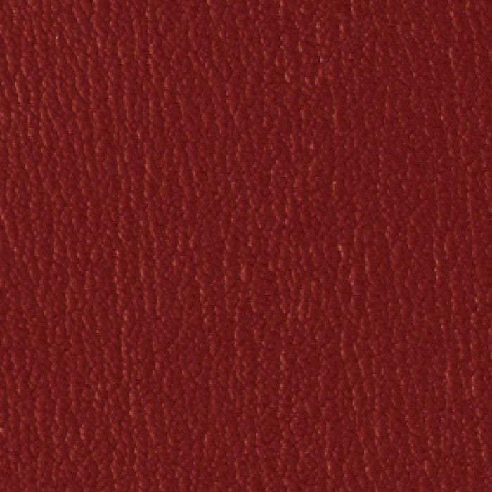 Colorguard New Burgundy