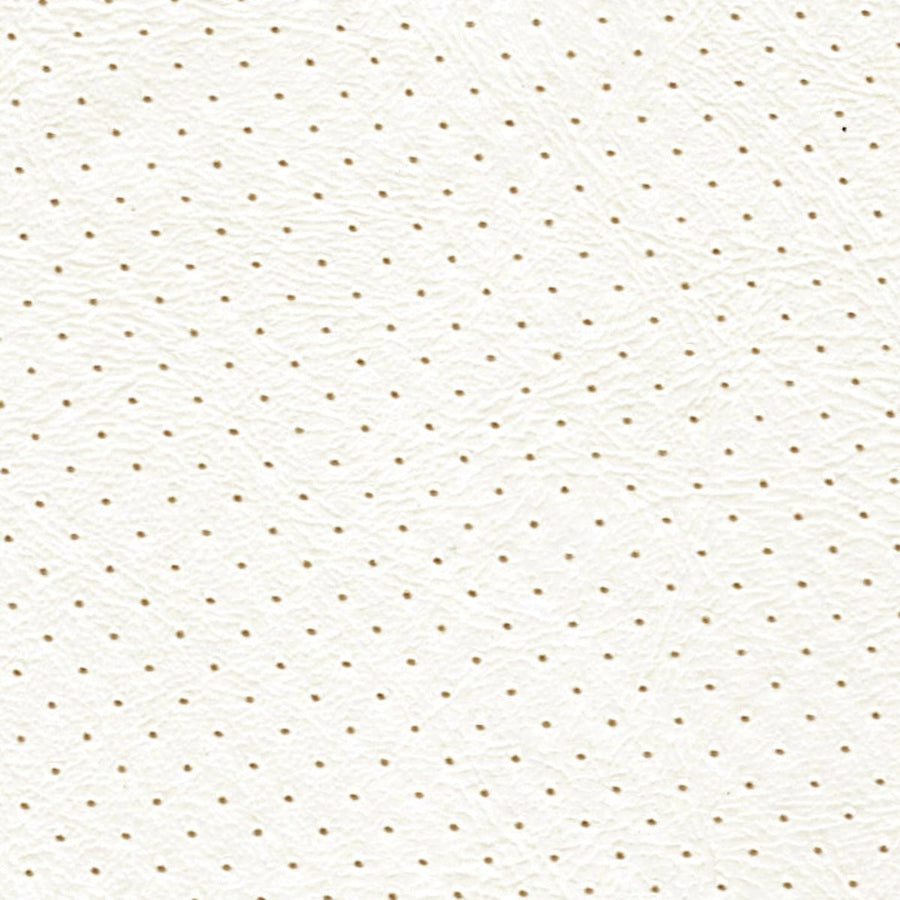 Orion Brilliant White