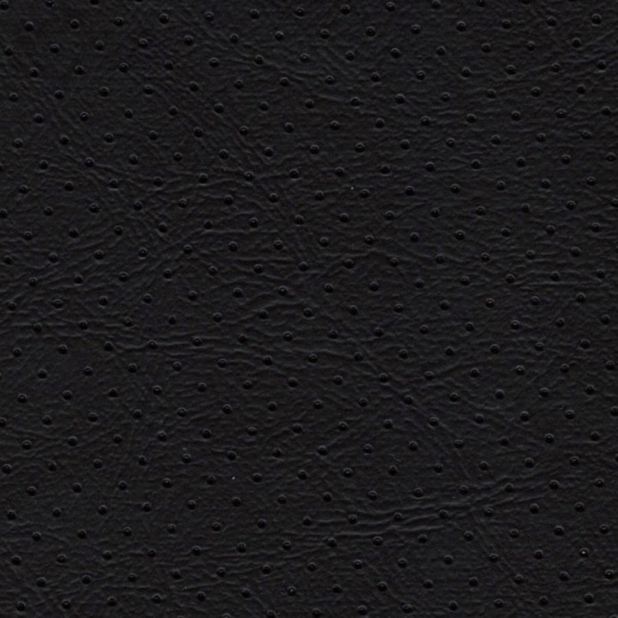 Orion Ebony