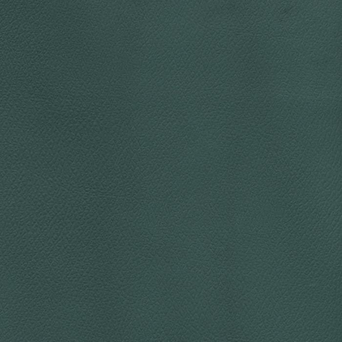 Patriot Plus Dark Aqua