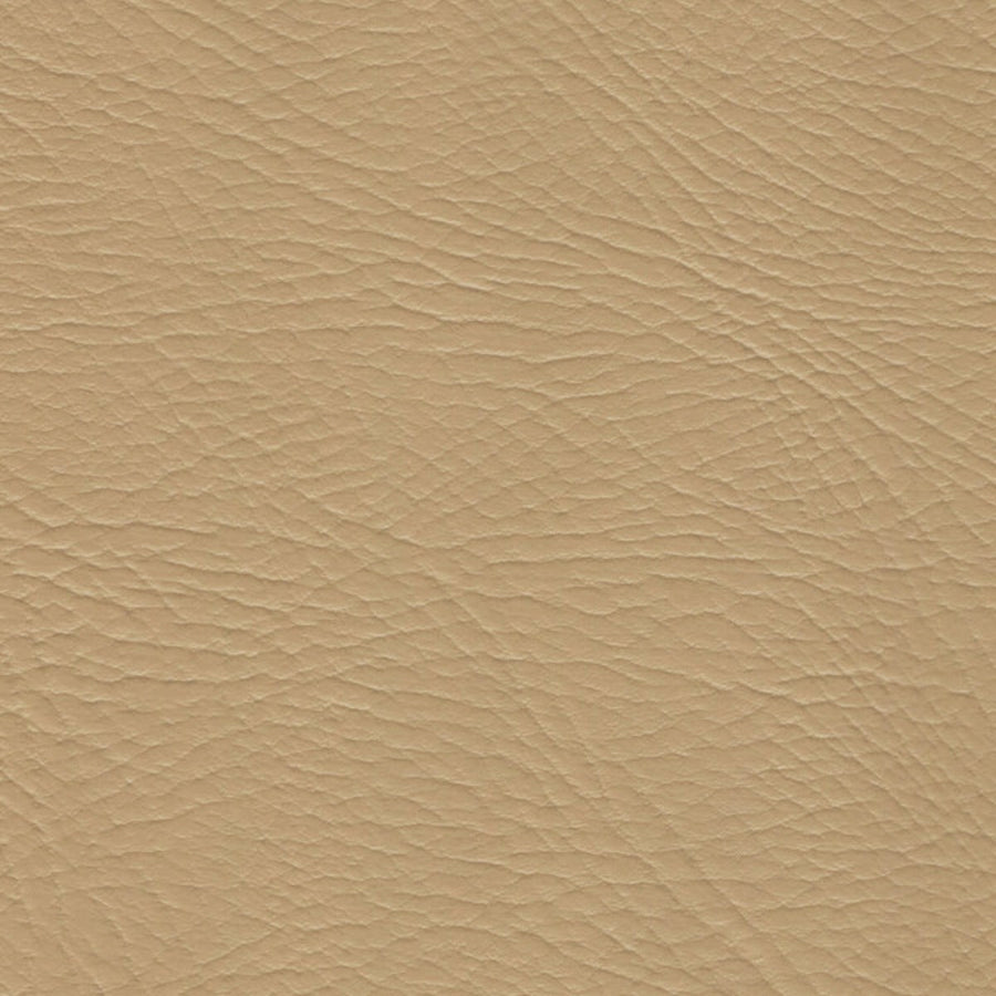 Pegasus Sand Dollar