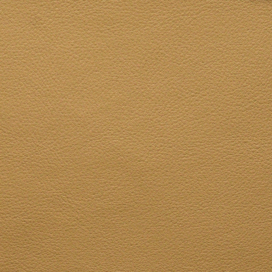 Persuasion Butterscotch