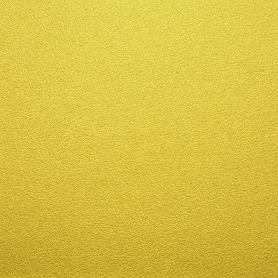 Persuasion Limon