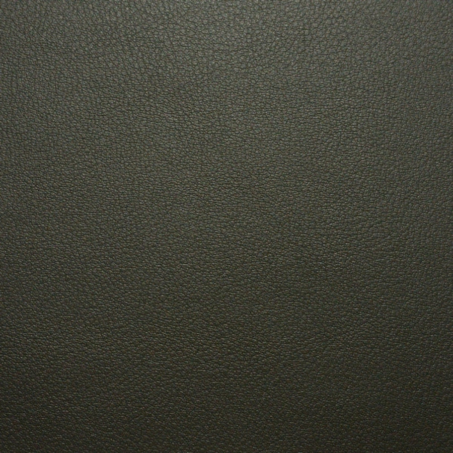 Persuasion Otter