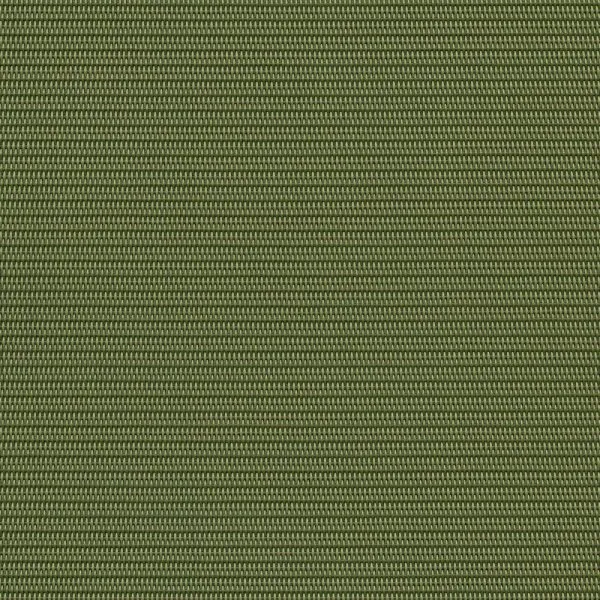 Dupioni Kiwi