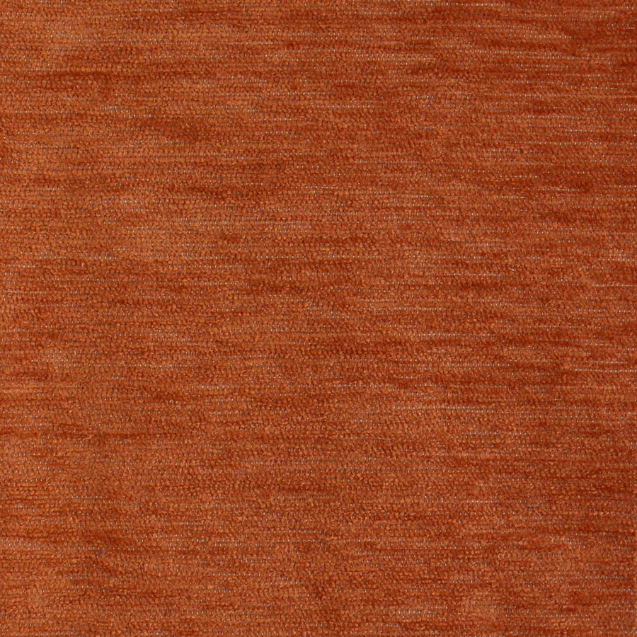 Plush Apricot