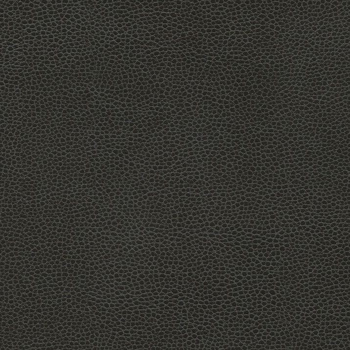 Promessa Ebony