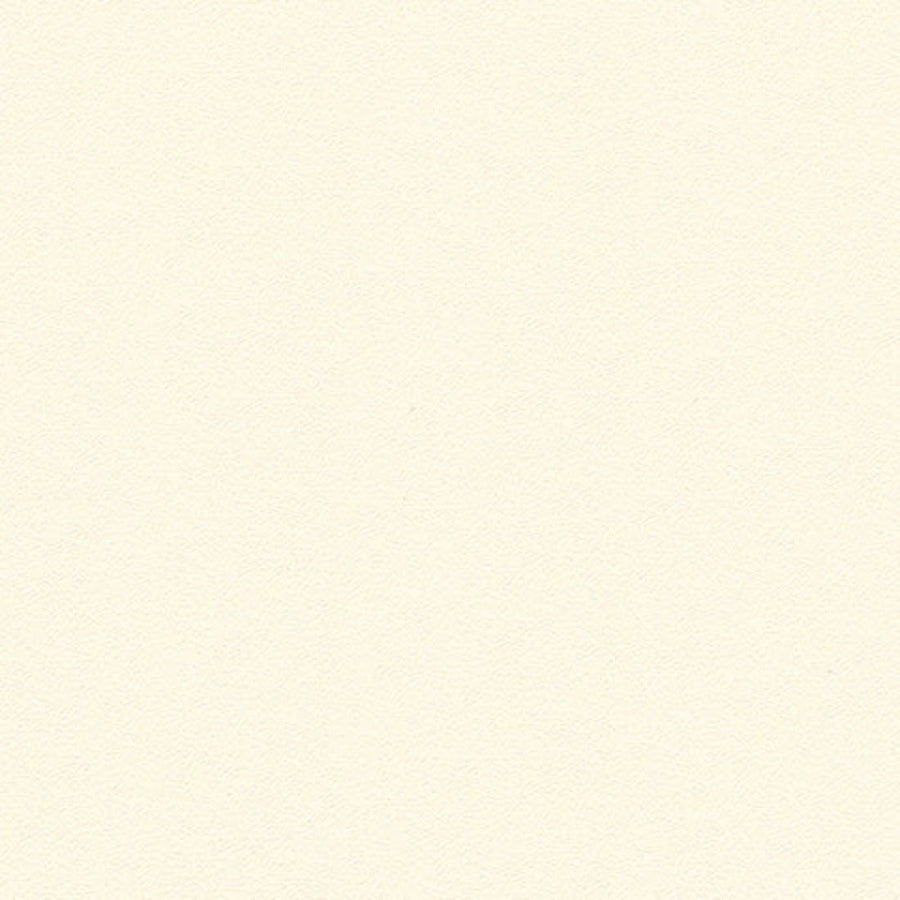 Stamoid Light Cream / 102