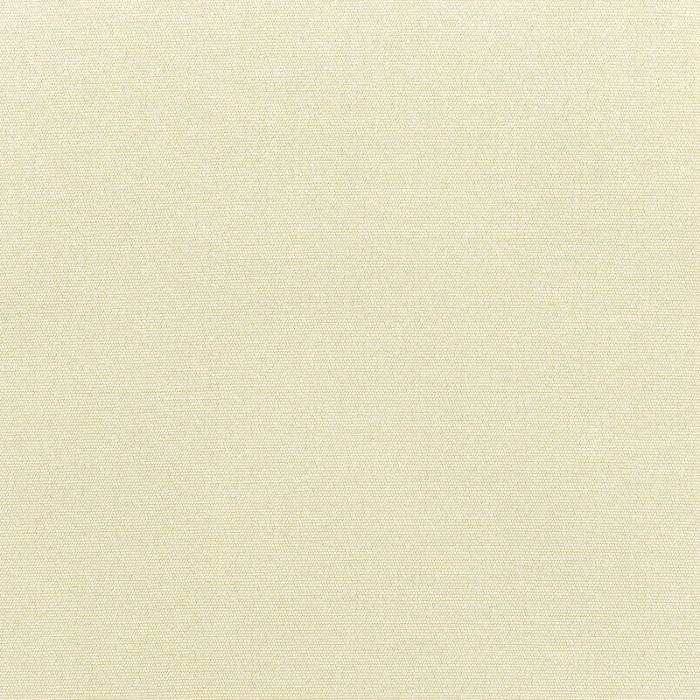 Canvas Canvas